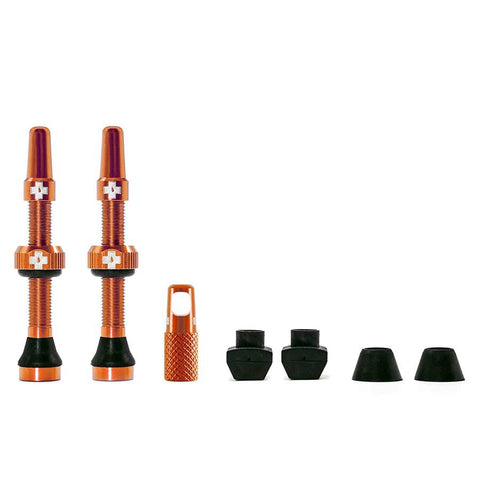 MUC-OFF TUBELESS VALVES